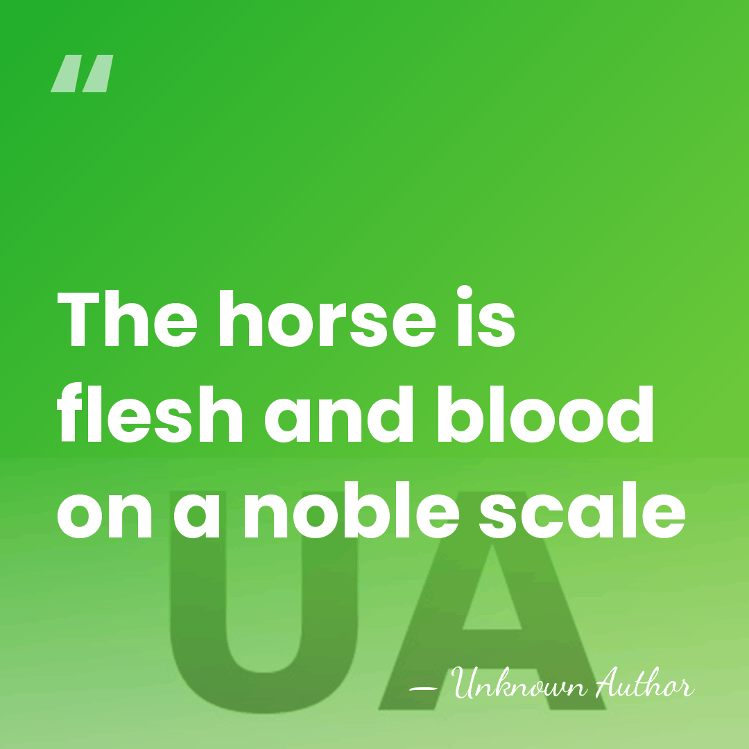 The horse is flesh and blood on a noble scale - Jeff Griffin