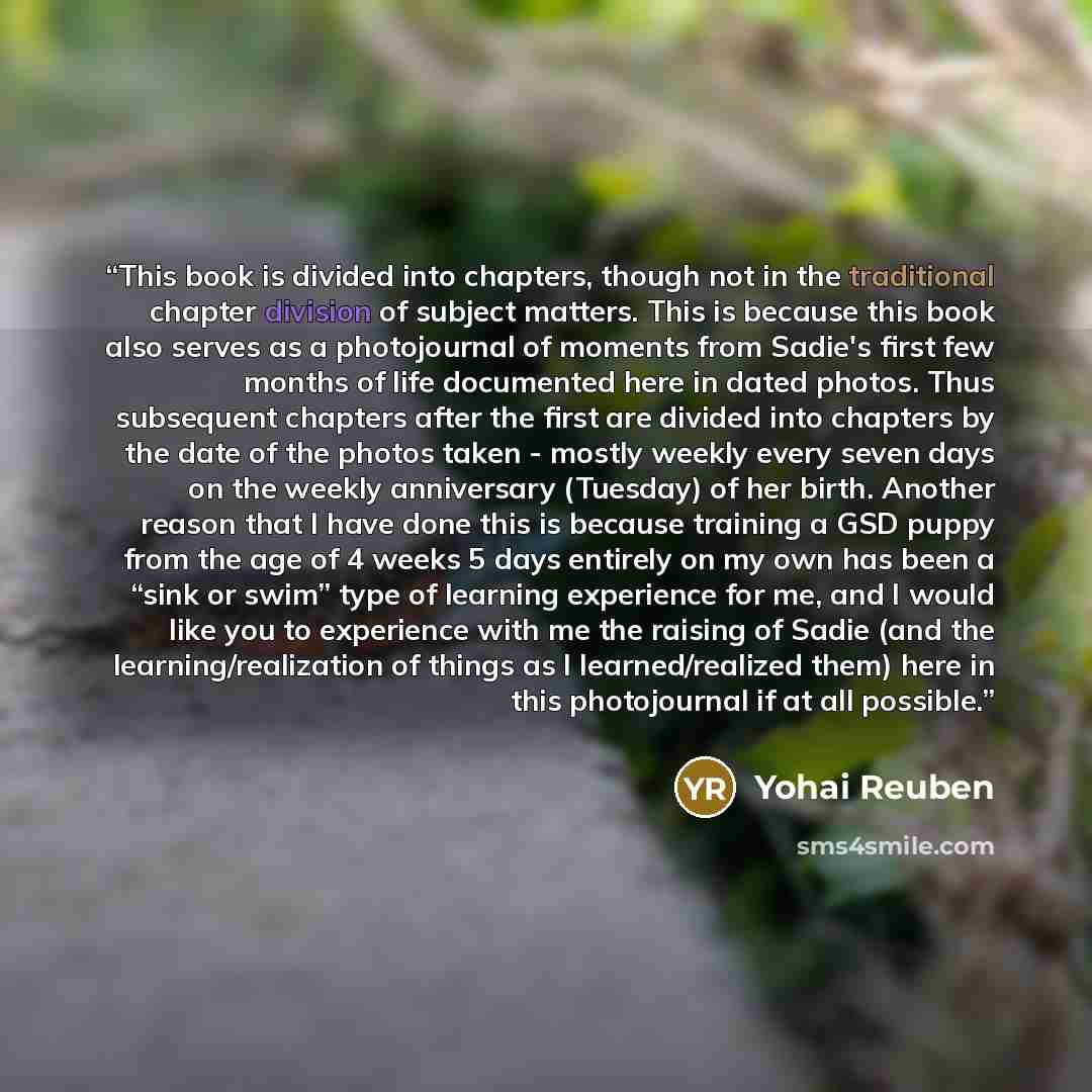 “This book is divided into chapters, though not in the traditional chapter division of subject matters. This is because this book also serves as a photojournal of moments from Sadie's first few months of life documented here in dated photos. Thus subsequent chapters after the first are divided into…” quote by Yohai Reuben
