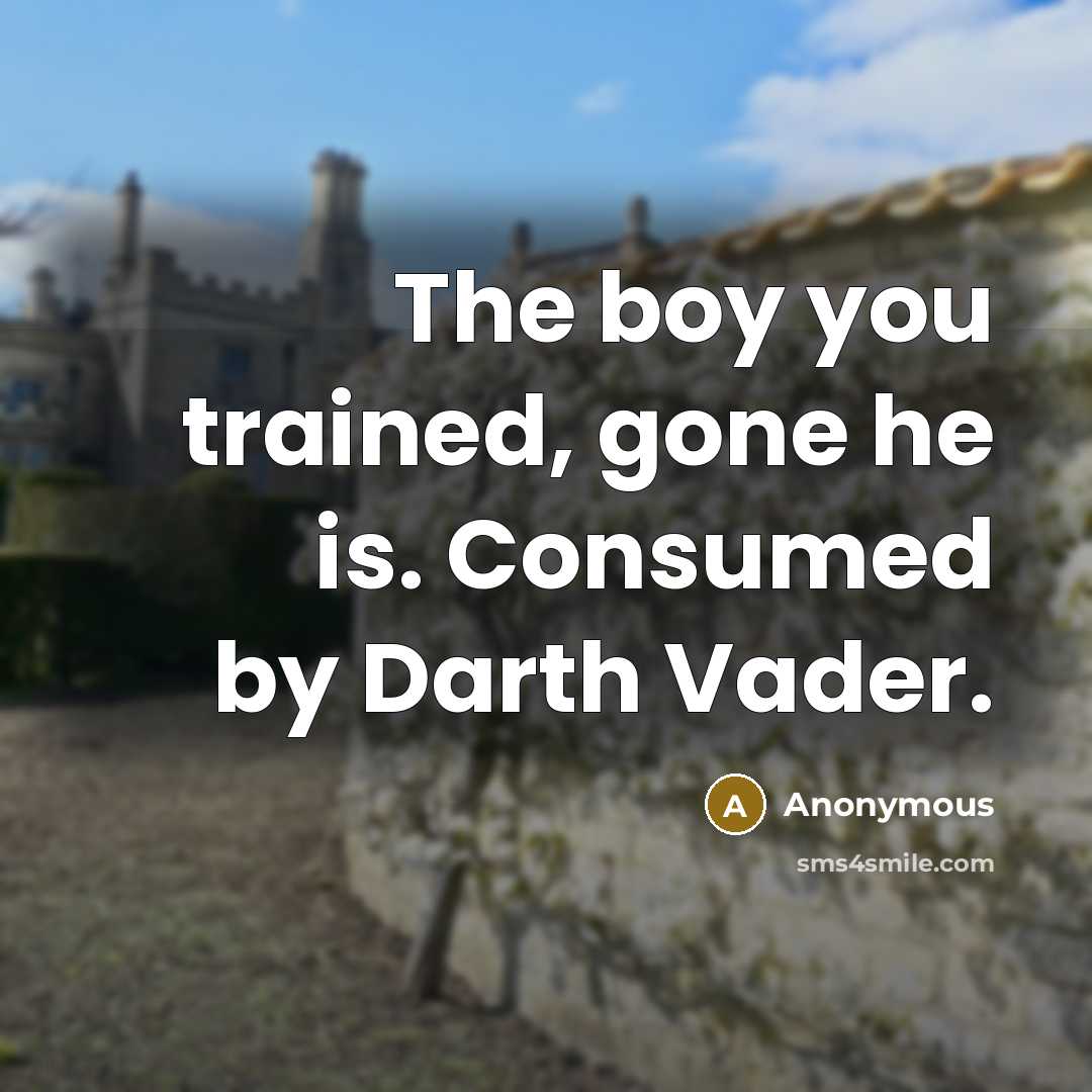 “The boy you trained, gone he is. Consumed by Darth Vader.” quote by Anonymous