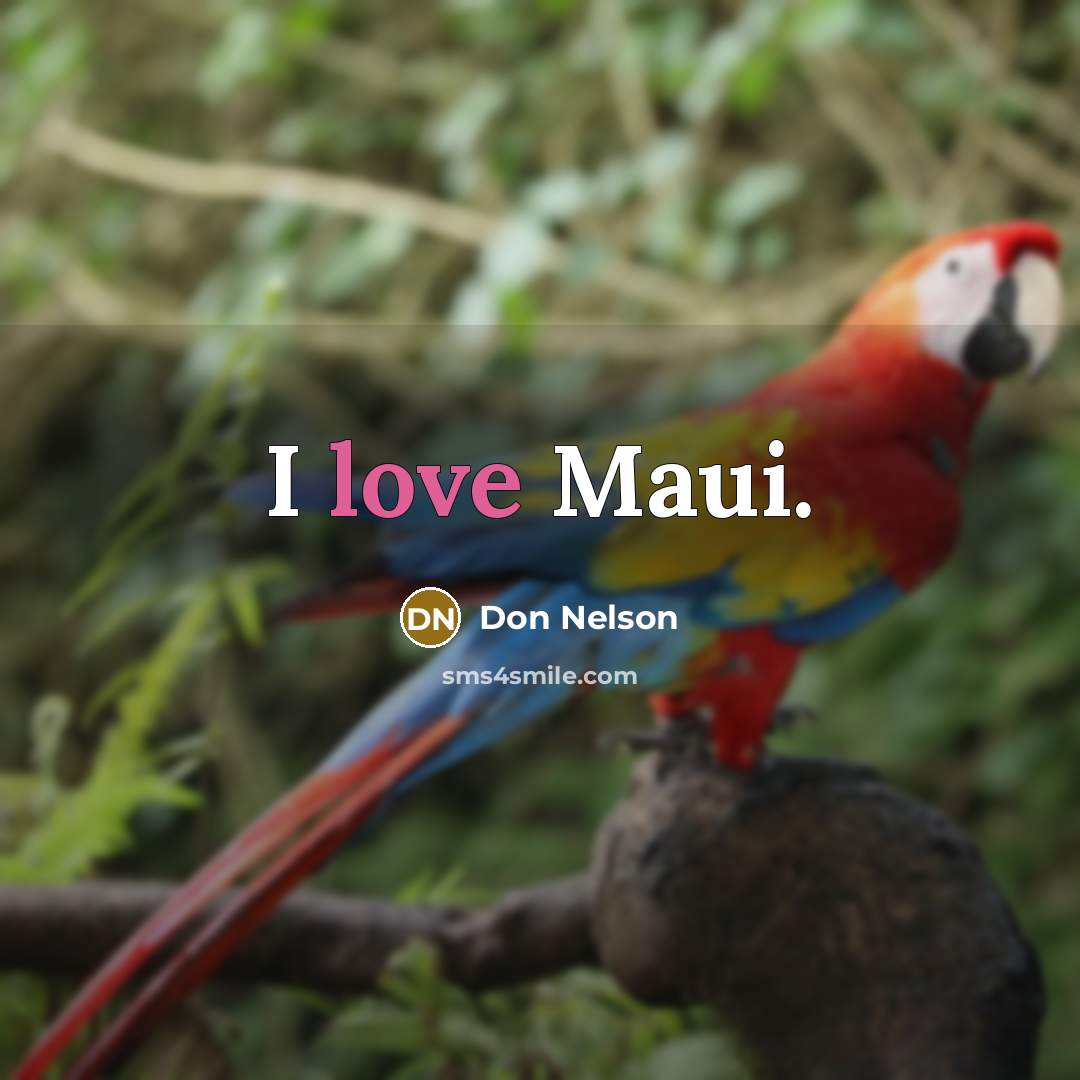 “I love Maui.” quote by Don Nelson