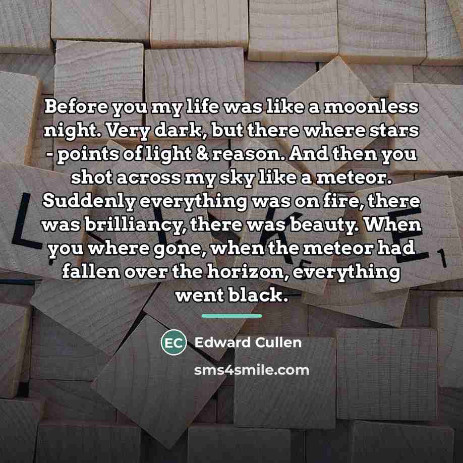 “Before you my life was like a moonless night. Very…” quote by Edward Cullen