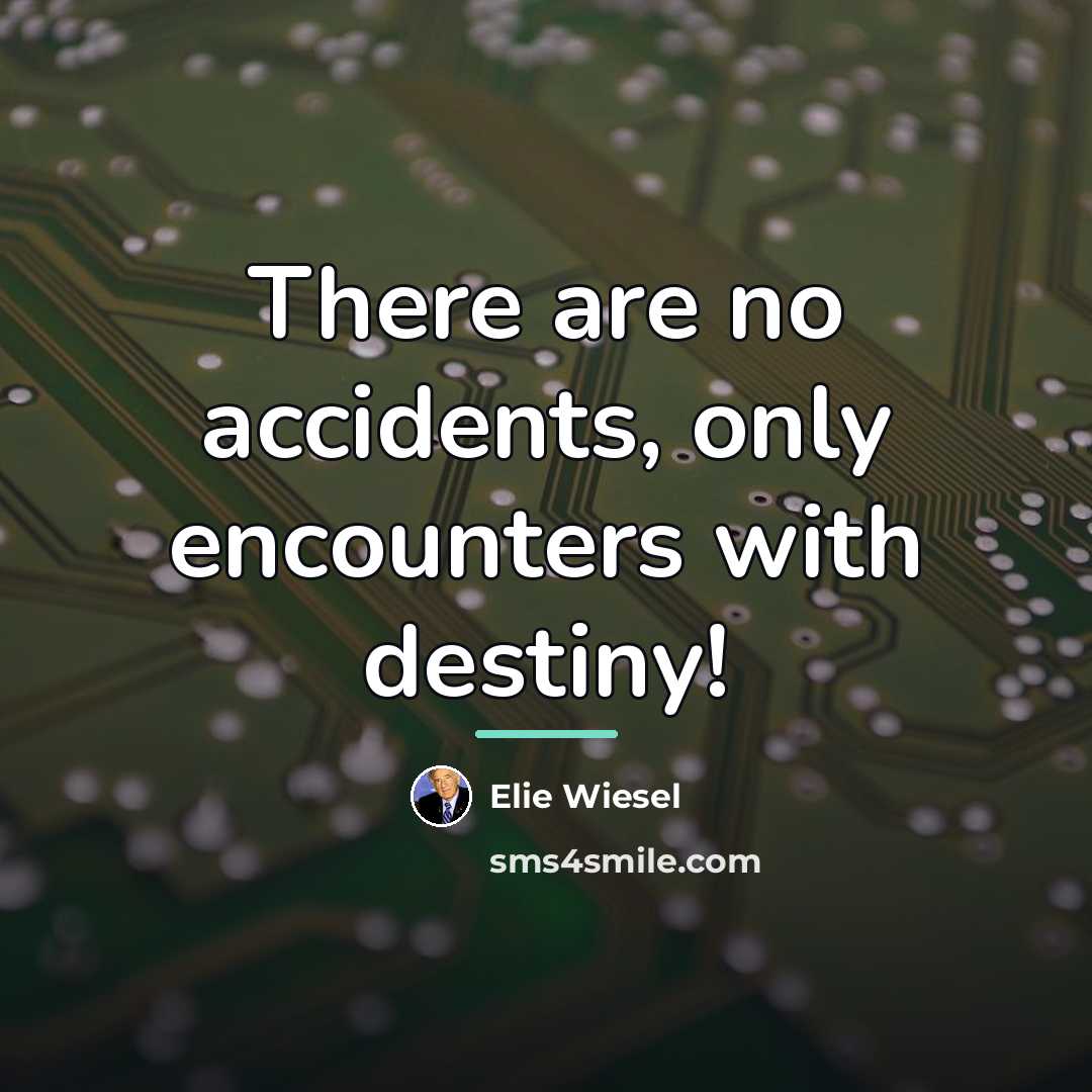 “There are no accidents, only encounters with destiny!…” quote by Elie Wiesel