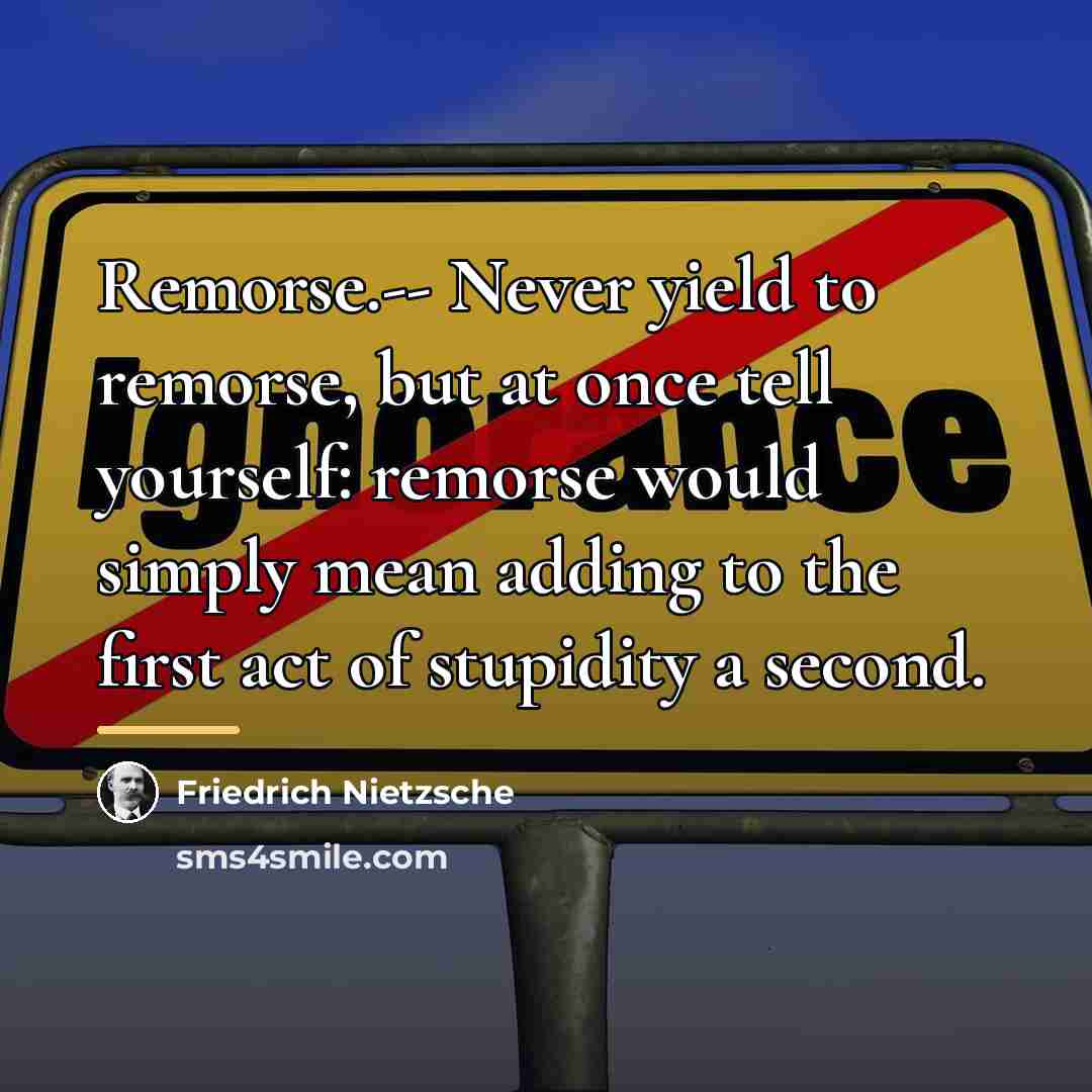 “Remorse.-- Never yield to remorse, but at once tell yourself:…” quote by Friedrich Nietzsche