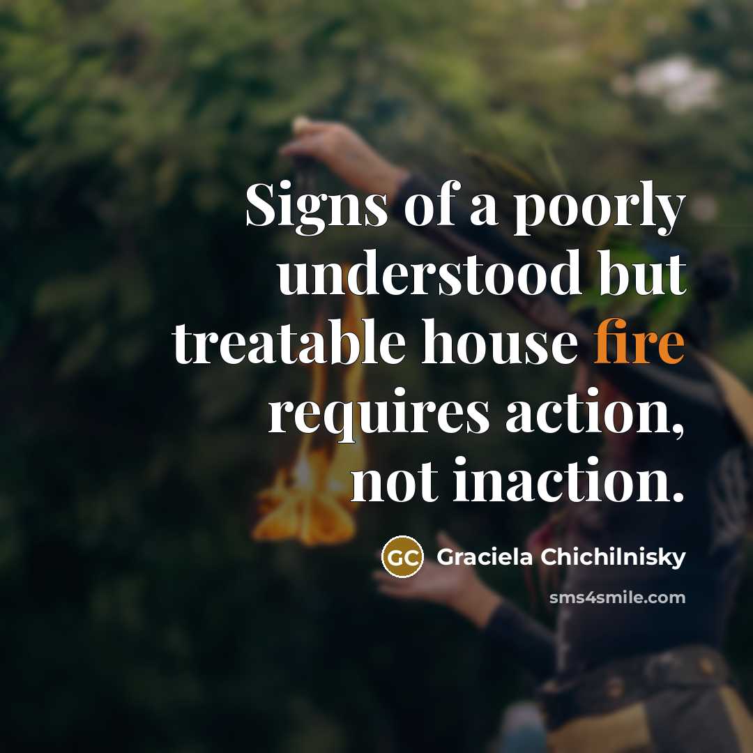 “Signs of a poorly understood but treatable house fire requires…” quote by Graciela Chichilnisky