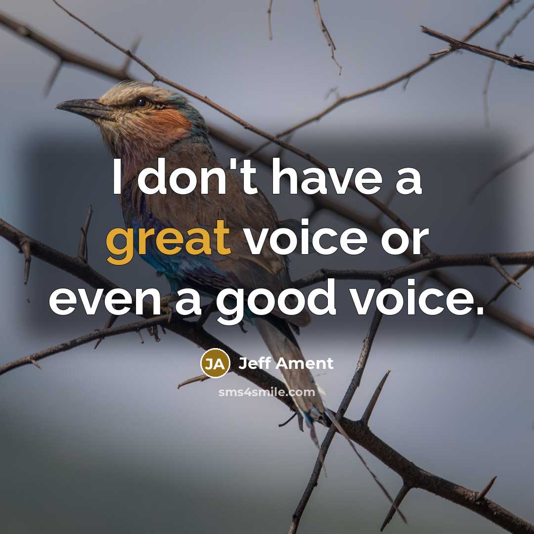 “I don't have a great voice or even a good…” quote by Jeff Ament