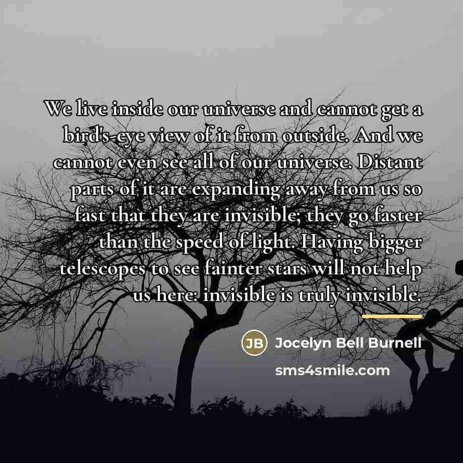 “We live inside our universe and cannot get a bird's-eye…” quote by Jocelyn Bell Burnell
