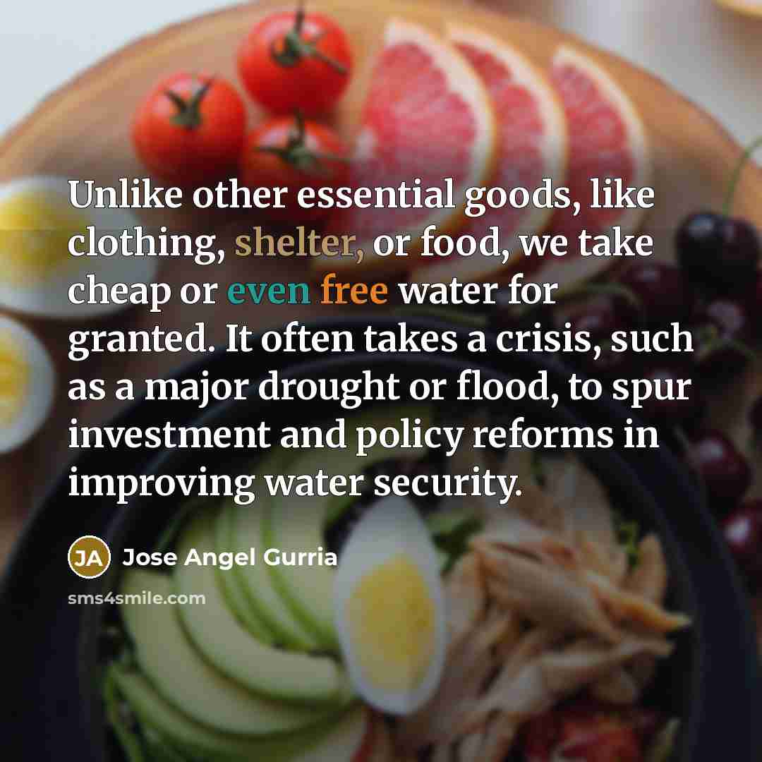 “Unlike other essential goods, like clothing, shelter, or food, we…” quote by Jose Angel Gurria