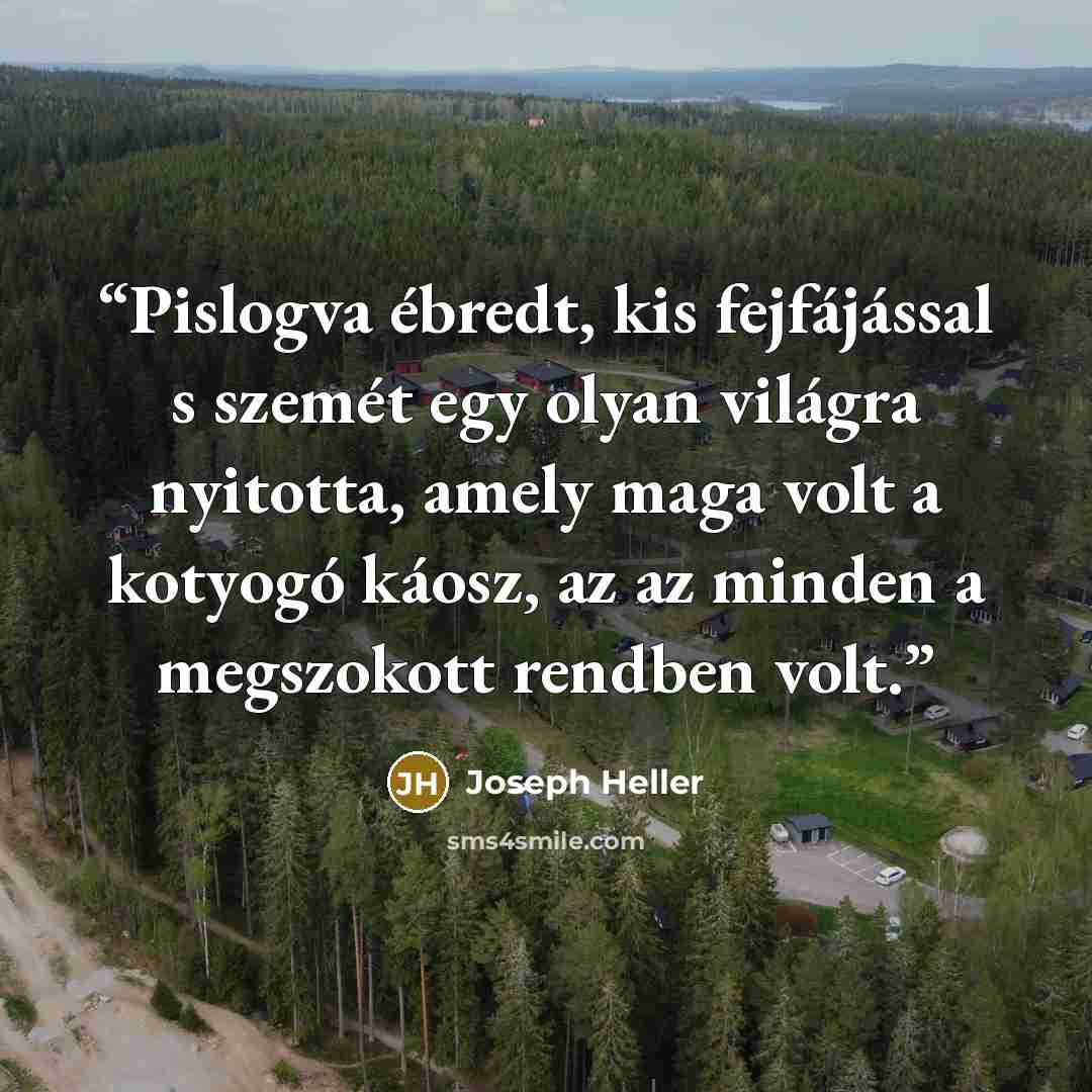 “Pislogva ébredt, kis fejfájással s szemét egy olyan világra nyitotta, amely maga volt a kotyogó káosz, az az minden a megszokott rendben volt.” quote by Joseph Heller