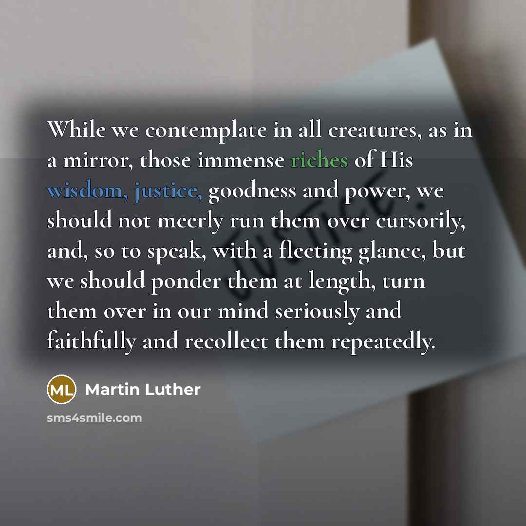 “While we contemplate in all creatures, as in a mirror, those immense riches of His wisdom, justice, goodness and power, we should not meerly run them over cursorily, and, so to speak, with a fleeting glance, but we should ponder them at length, turn them over in our mind seriously and faithfully…” quote by Martin Luther