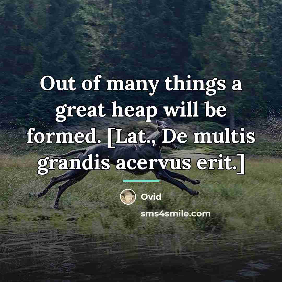 “Out of many things a great heap will be formed.…” quote by Ovid