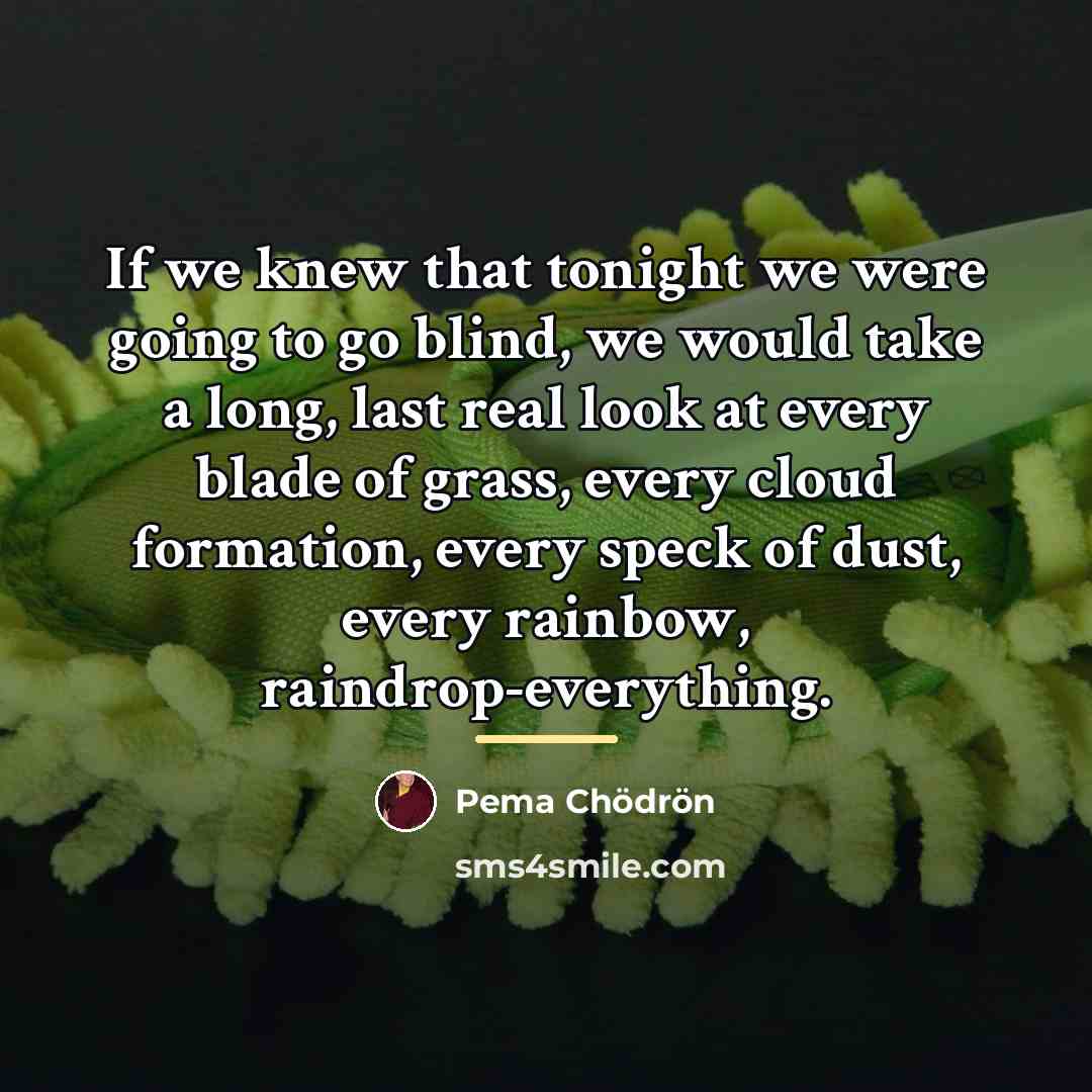 “If we knew that tonight we were going to go…” quote by Pema Chodron