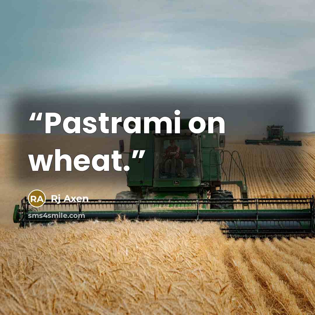 “Pastrami on wheat.” quote by Rj Axen
