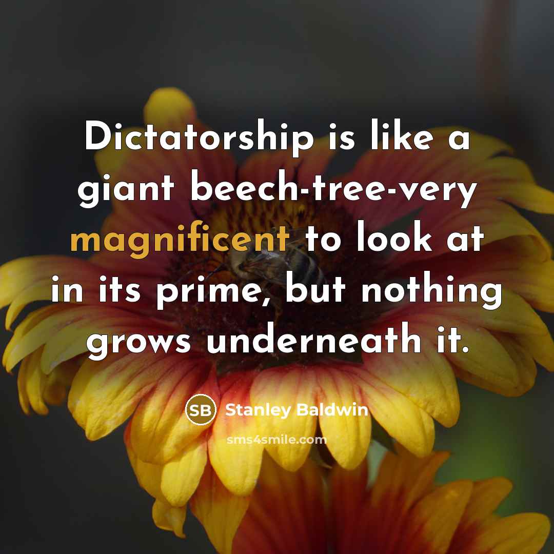 “Dictatorship is like a giant beech-tree-very magnificent to look at…” quote by Stanley Baldwin