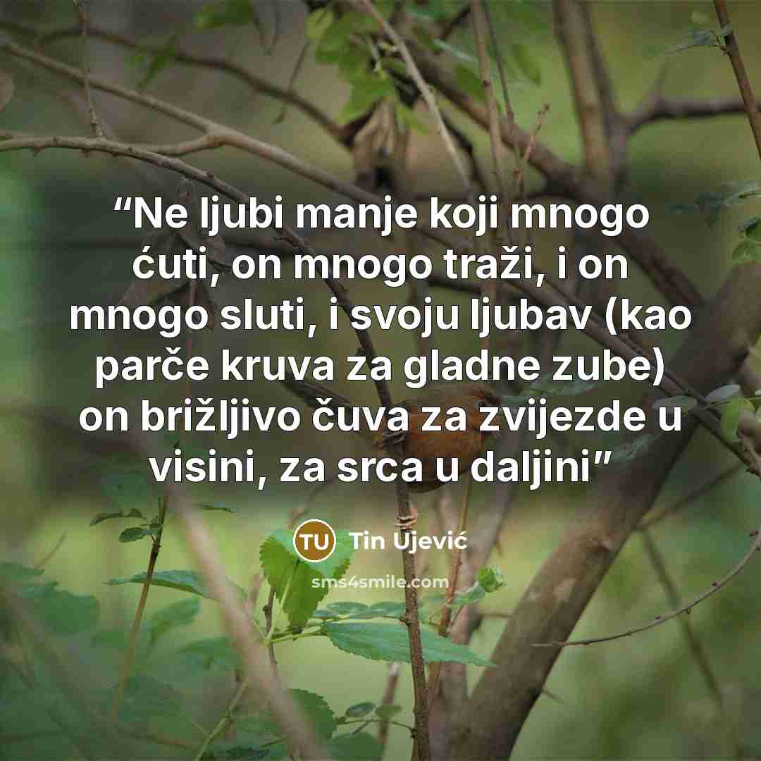 “Ne ljubi manje koji mnogo ćuti, on mnogo traži, i on mnogo sluti, i svoju ljubav (kao parče kruva za gladne zube) on brižljivo čuva za zvijezde u visini, za srca u daljini” quote by Tin Ujević