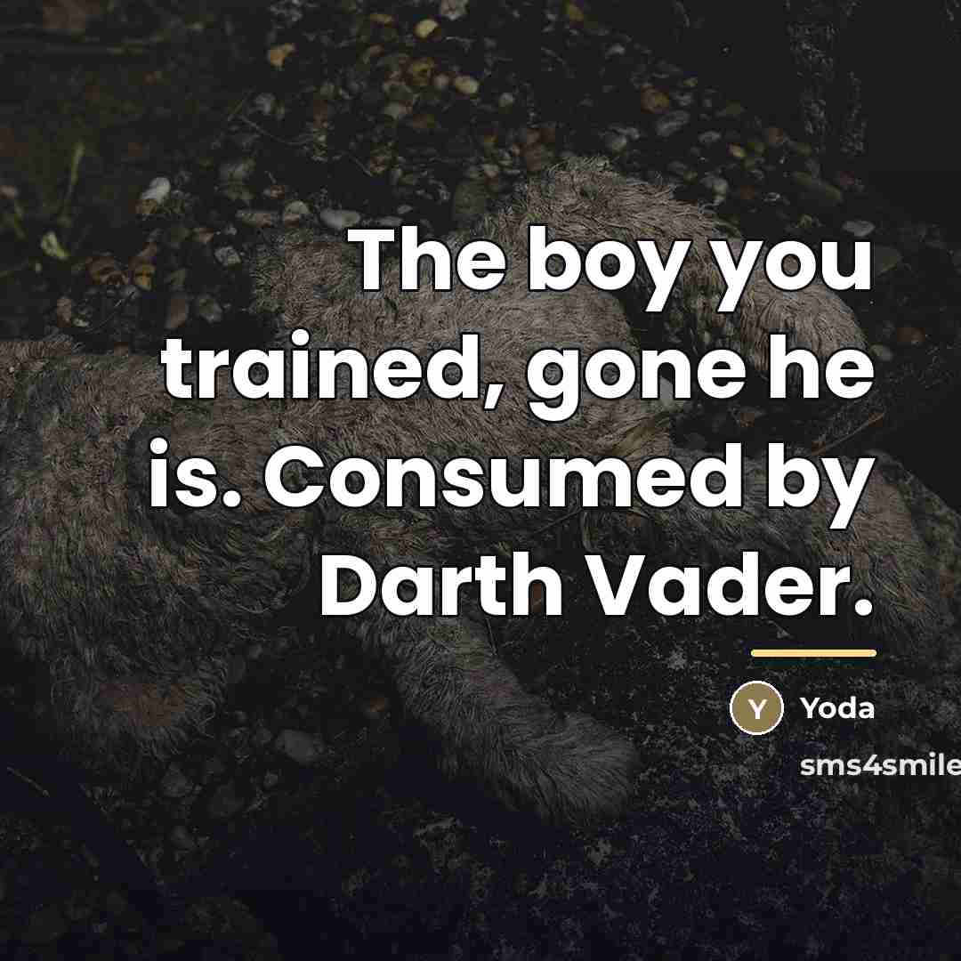 “The boy you trained, gone he is. Consumed by Darth…” quote by Yoda