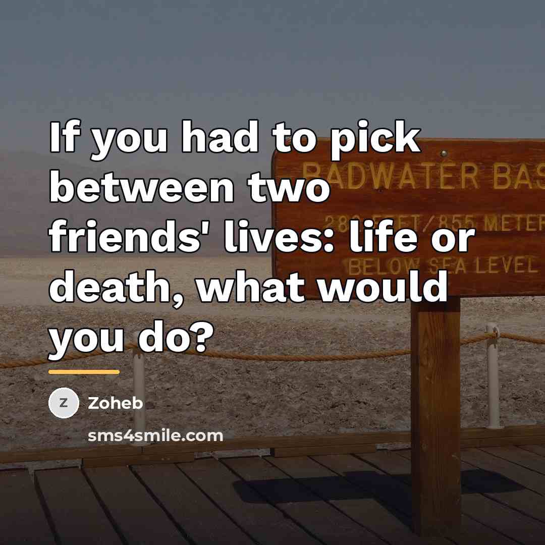 “If you had to pick between two friends' lives: life…” quote by Zoheb