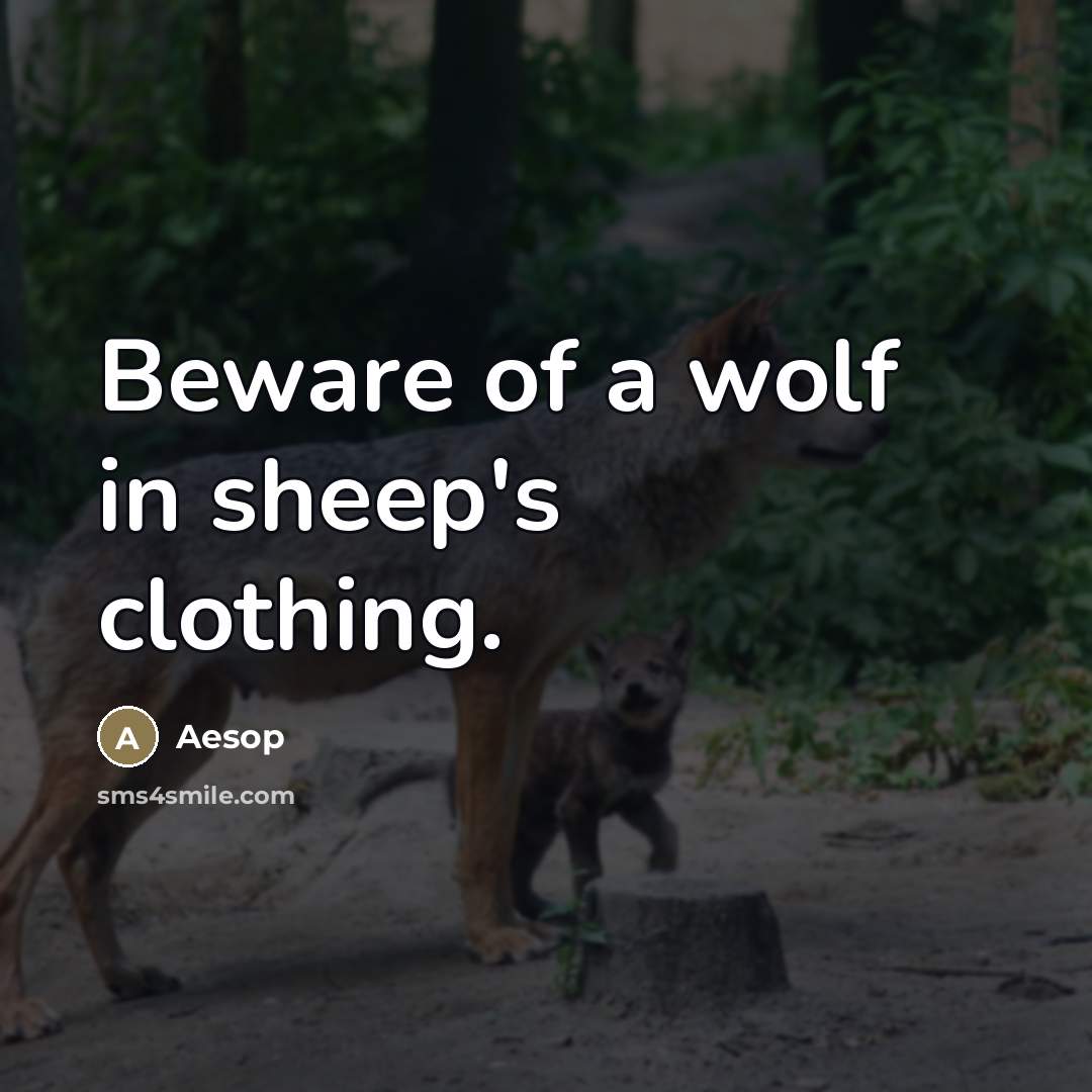 “Beware of a wolf in sheep's clothing.…” quote by Aesop