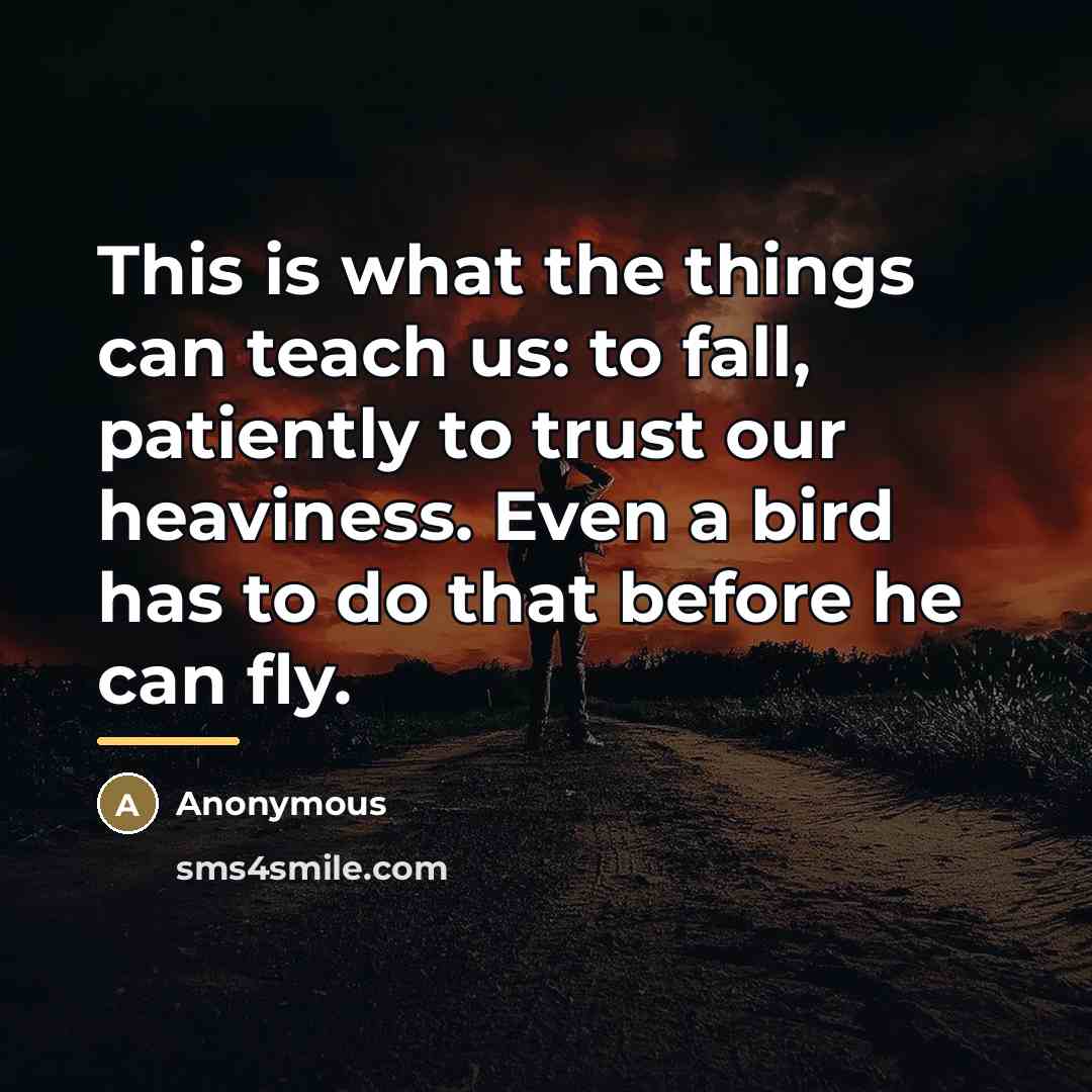 “This is what the things can teach us: to fall,…” quote by Anonymous