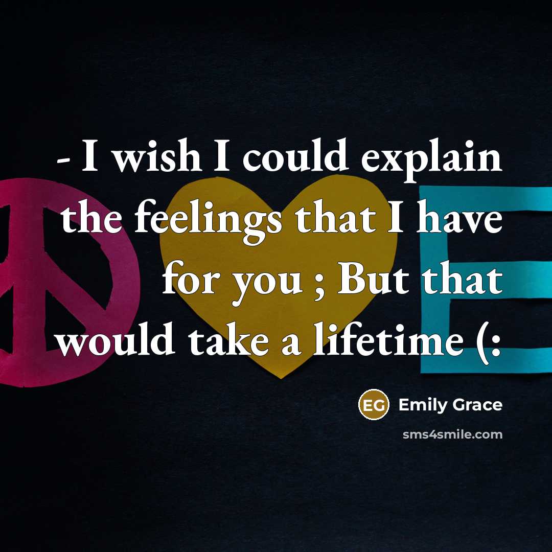 “- I wish I could explain the feelings that I…” quote by Emily Grace