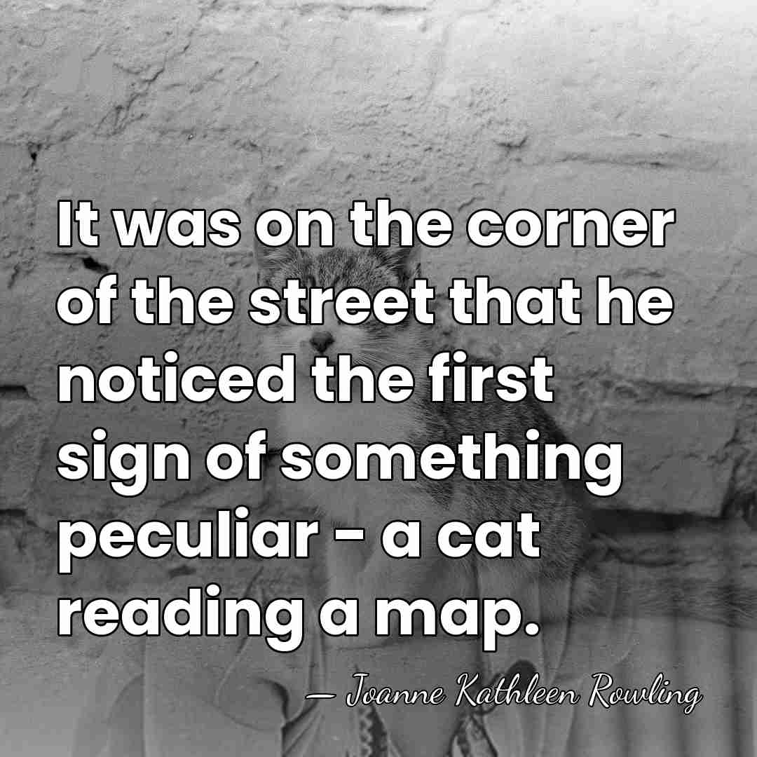 It was on the corner of the street that he noticed the&hellip; - Joanne Kathleen Rowling