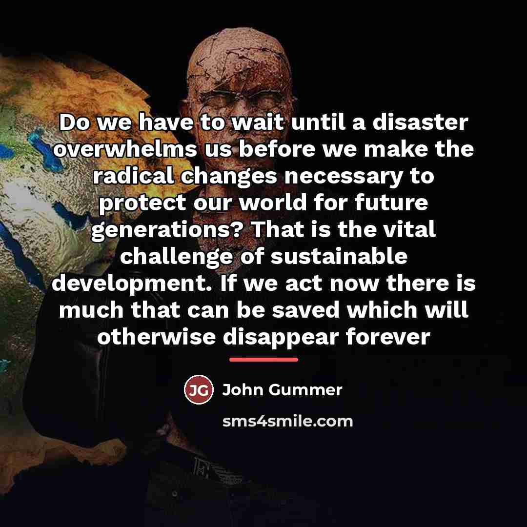 “Do we have to wait until a disaster overwhelms us…” quote by John Gummer