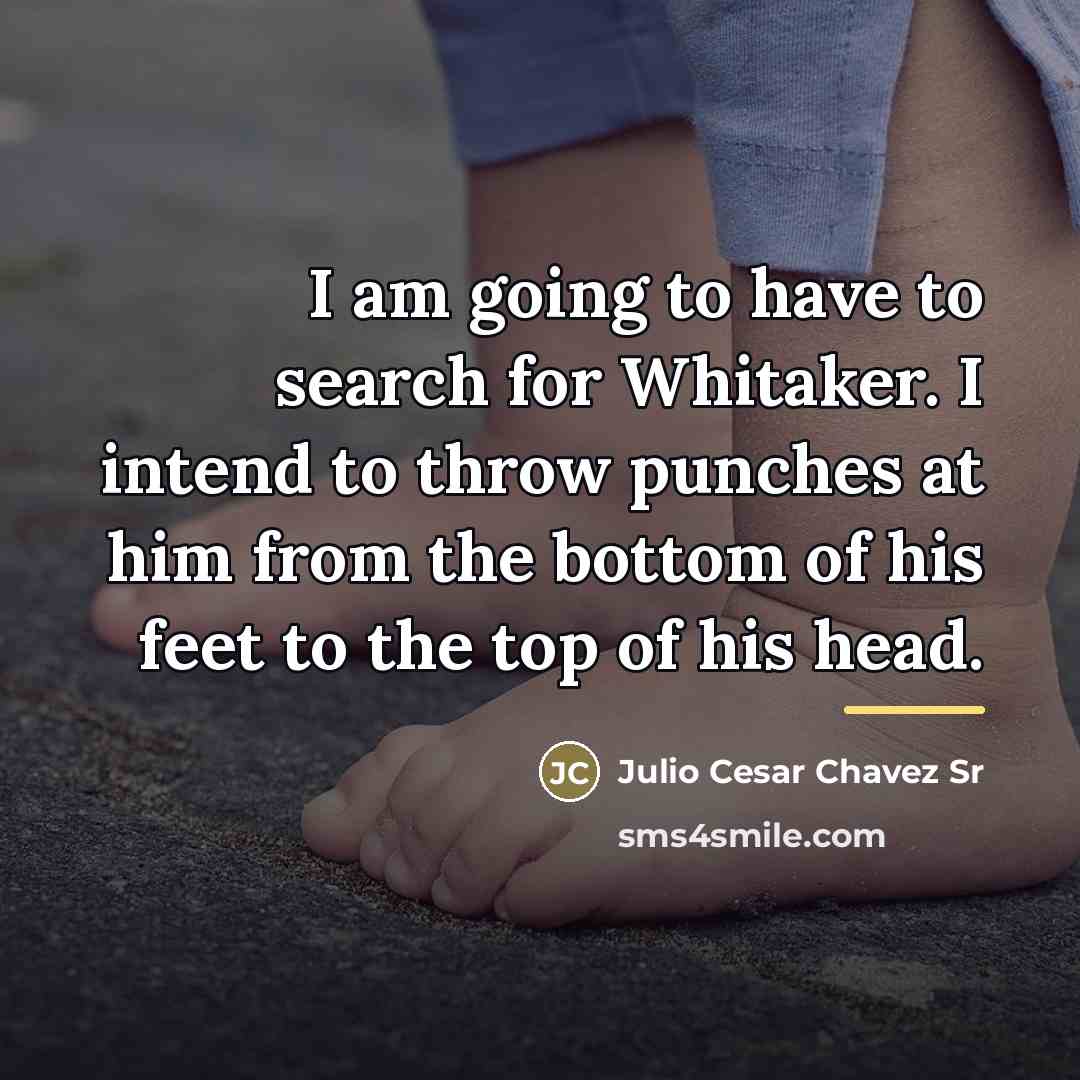 “I am going to have to search for Whitaker. I…” quote by Julio Cesar Chavez Sr