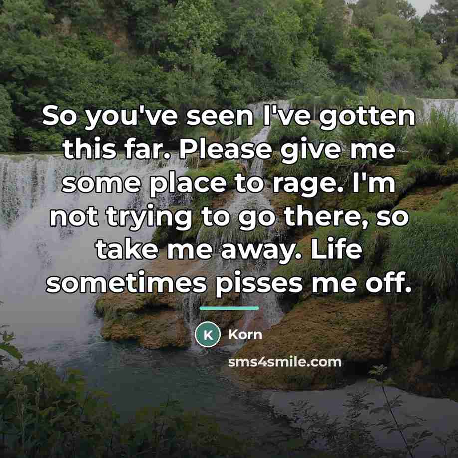 “So you've seen I've gotten this far. Please give me…” quote by Korn