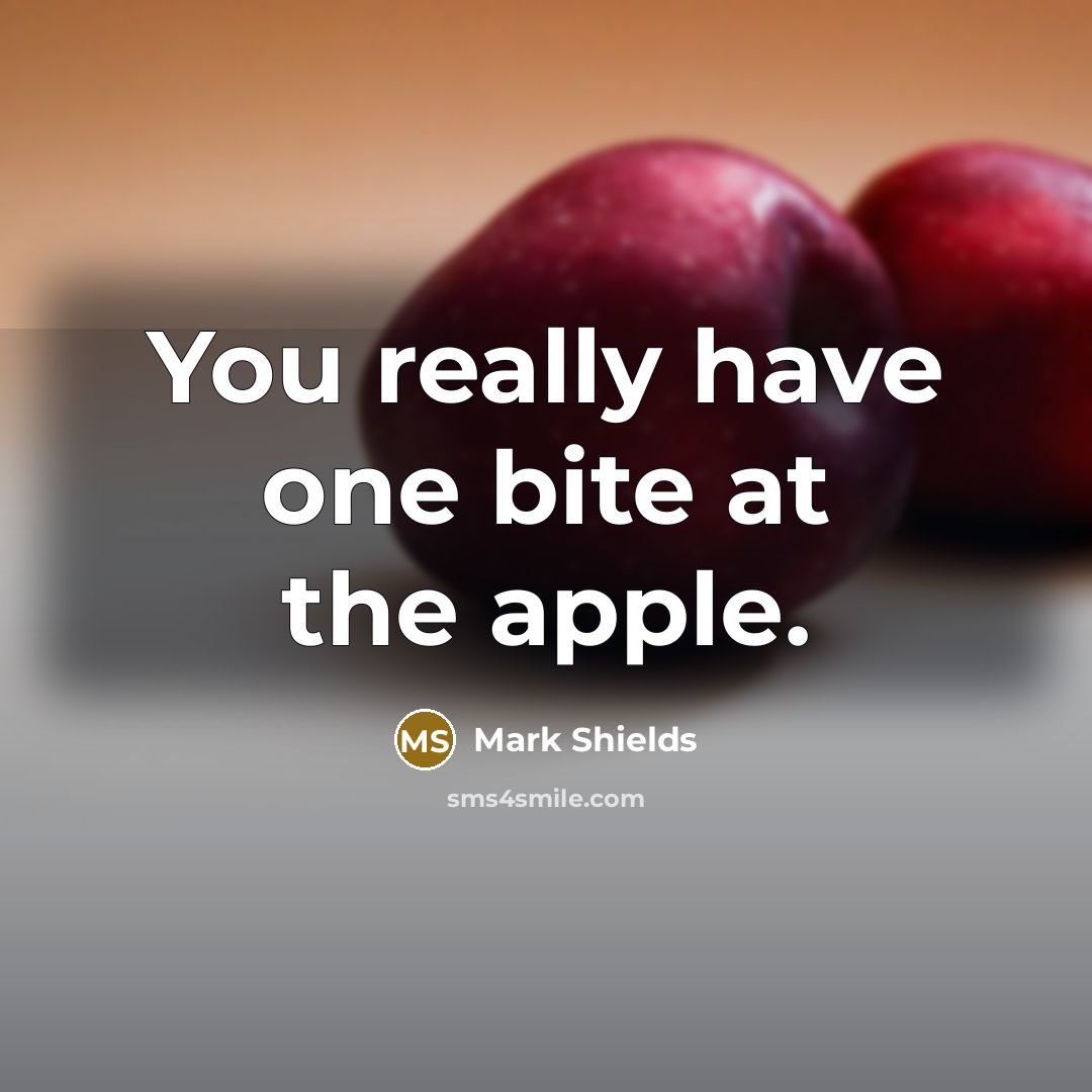 “You really have one bite at the apple.…” quote by Mark Shields