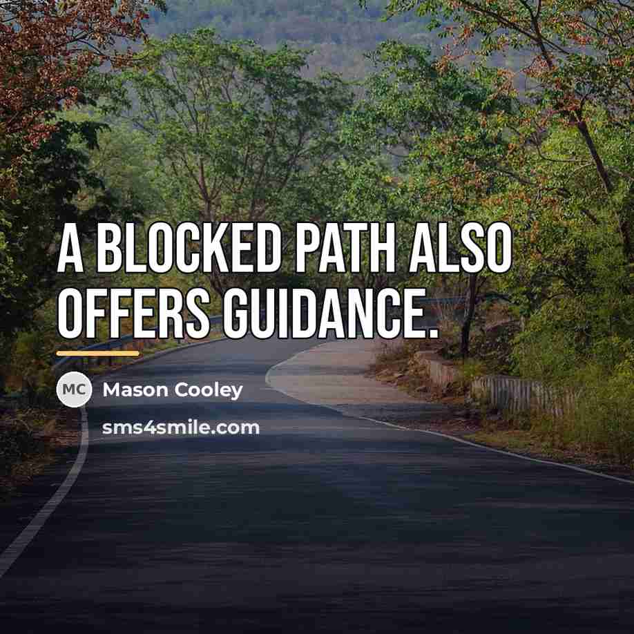 “A blocked path also offers guidance.…” quote by Mason Cooley