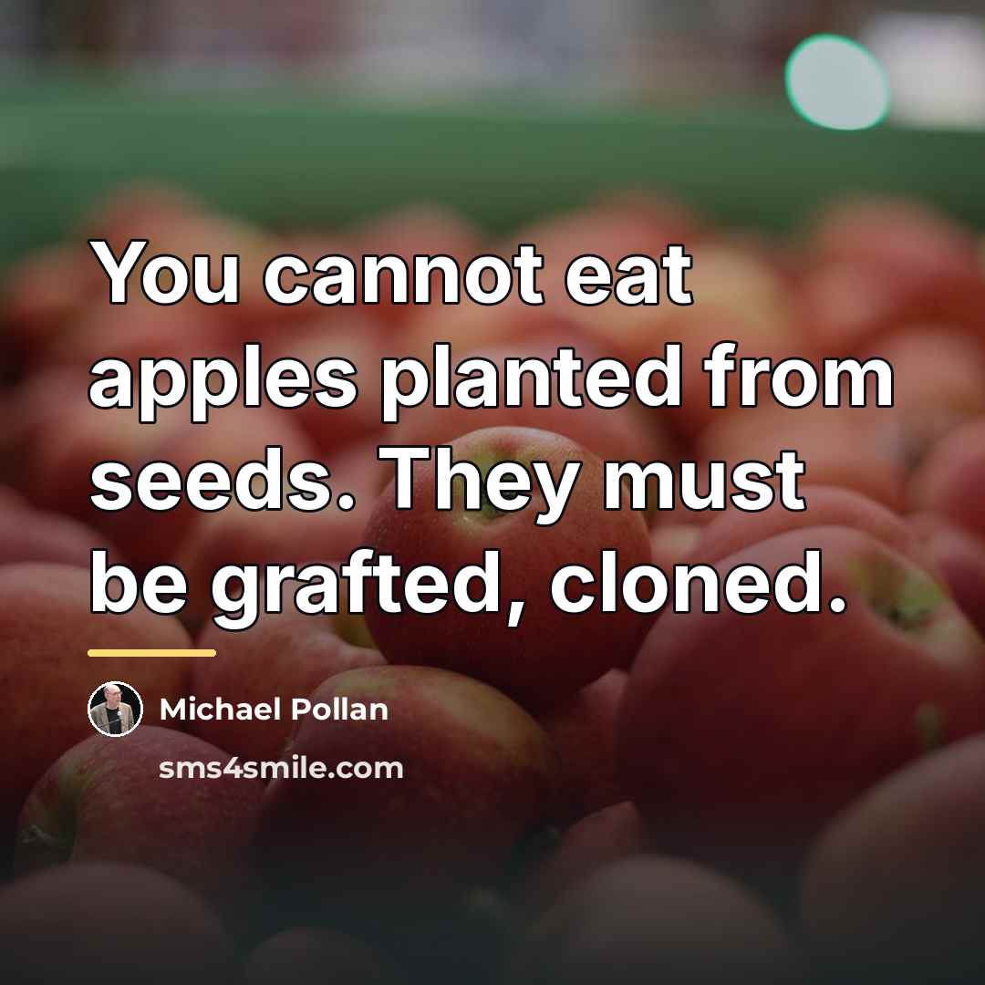 “You cannot eat apples planted from seeds. They must be…” quote by Michael Pollan