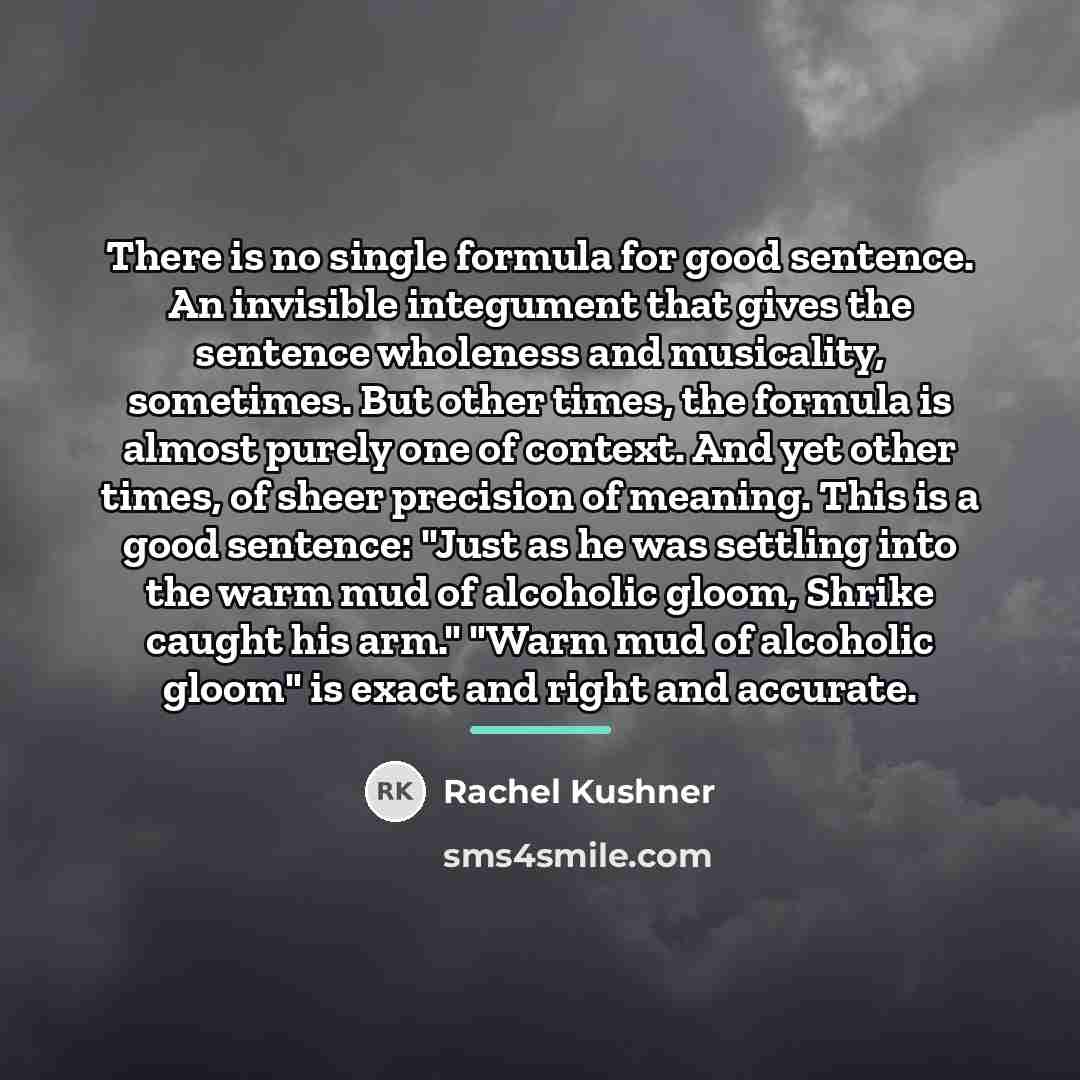 “There is no single formula for good sentence. An invisible…” quote by Rachel Kushner