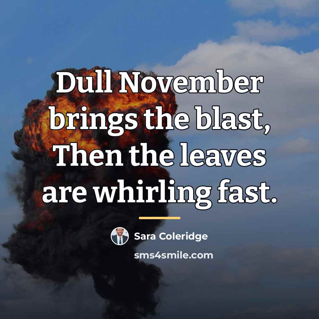 “Dull November brings the blast, Then the leaves are whirling…” quote by Sara Coleridge