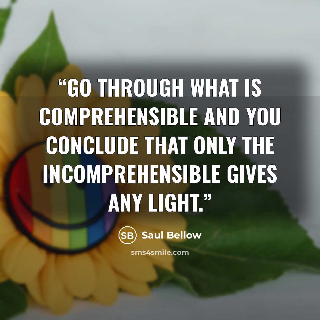 “Go through what is comprehensible and you conclude that only the incomprehensible gives any light.” quote by Saul Bellow