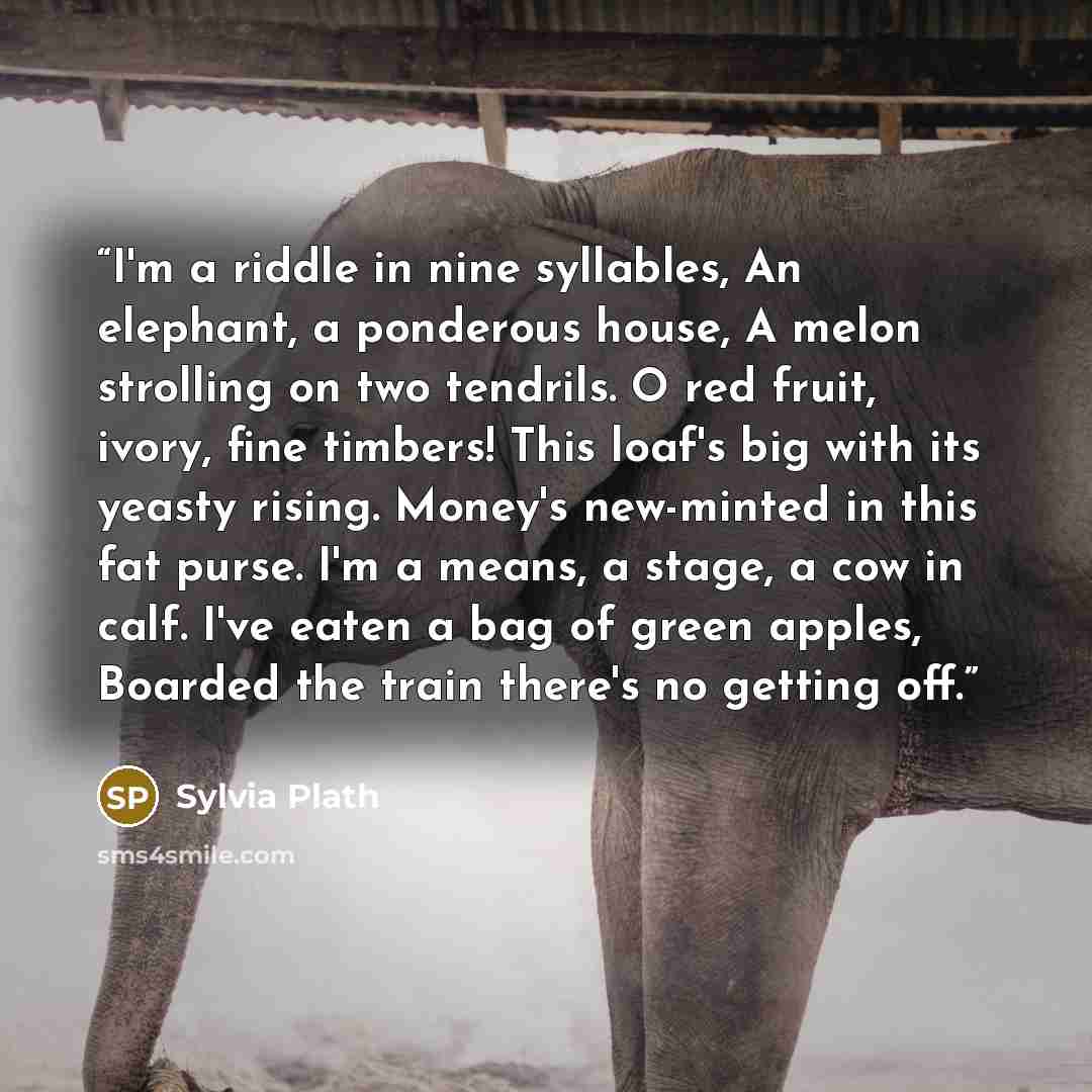 “I'm a riddle in nine syllables, An elephant, a ponderous house, A melon strolling on two tendrils. O red fruit, ivory, fine timbers! This loaf's big with its yeasty rising. Money's new-minted in this fat purse. I'm a means, a stage, a cow in calf. I've eaten a bag of green apples, Boarded the…” quote by Sylvia Plath