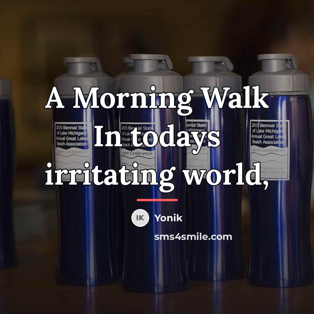 “A Morning Walk In todays irritating world,…” quote by Yonik