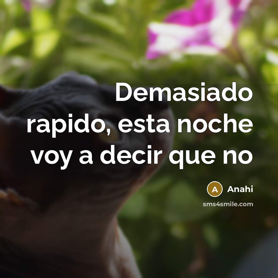 “Demasiado rapido, esta noche voy a decir que no…” quote by Anahi