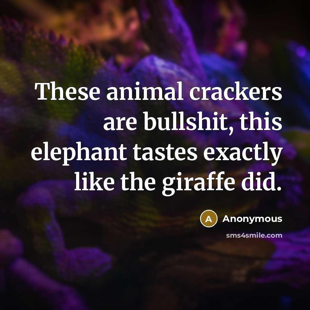“These animal crackers are bullshit, this elephant tastes exactly like…” quote by Anonymous