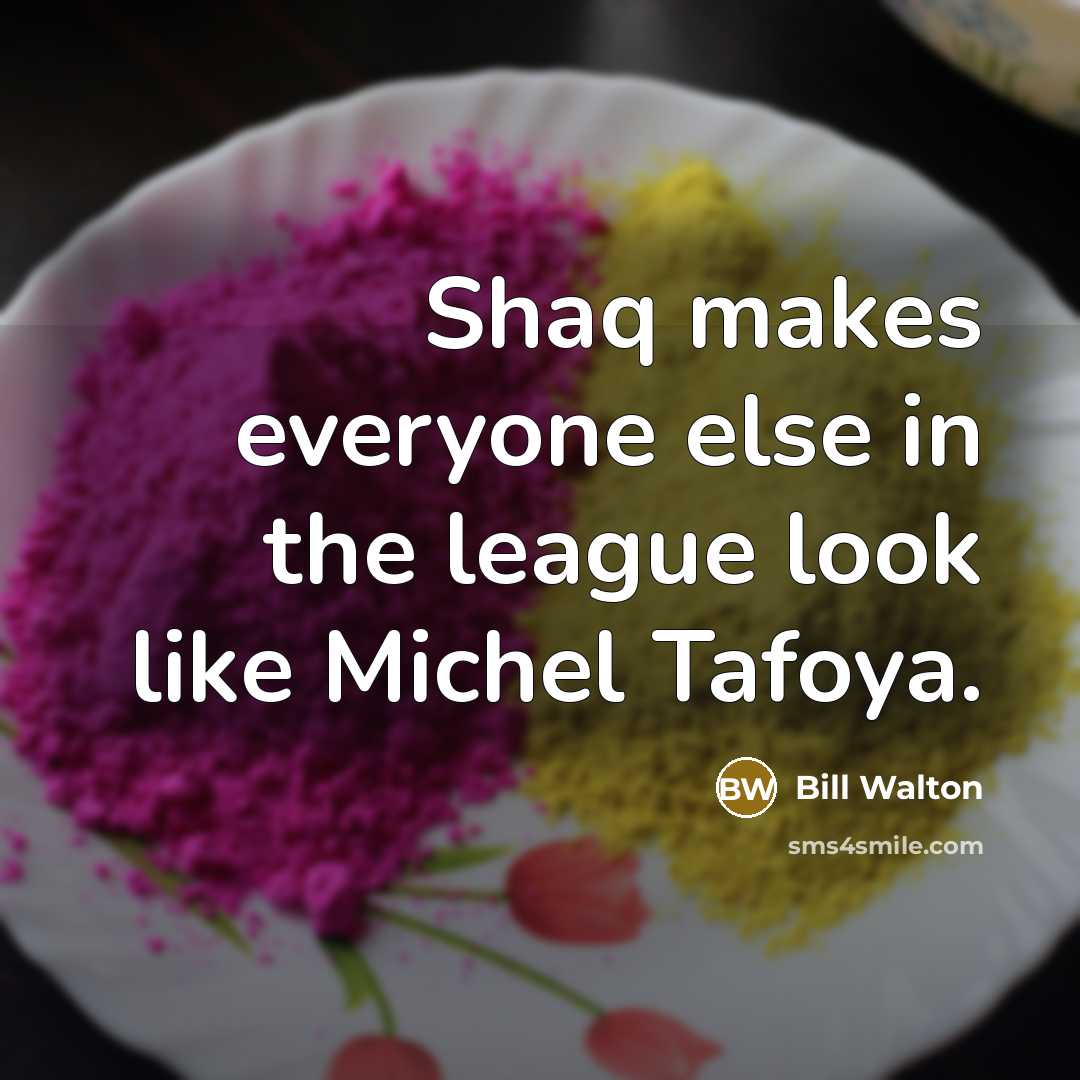 “Shaq makes everyone else in the league look like Michel…” quote by Bill Walton