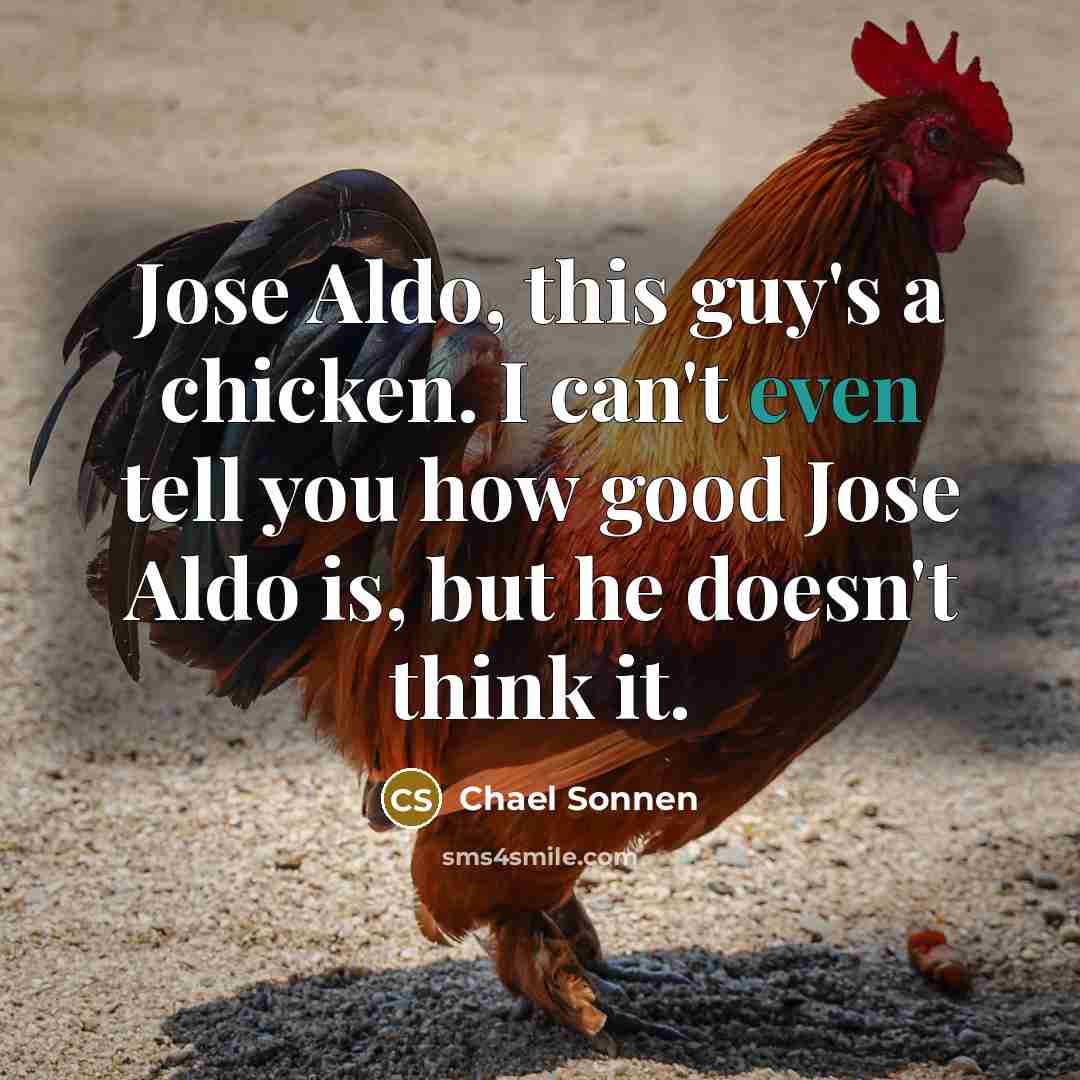 “Jose Aldo, this guy's a chicken. I can't even tell…” quote by Chael Sonnen