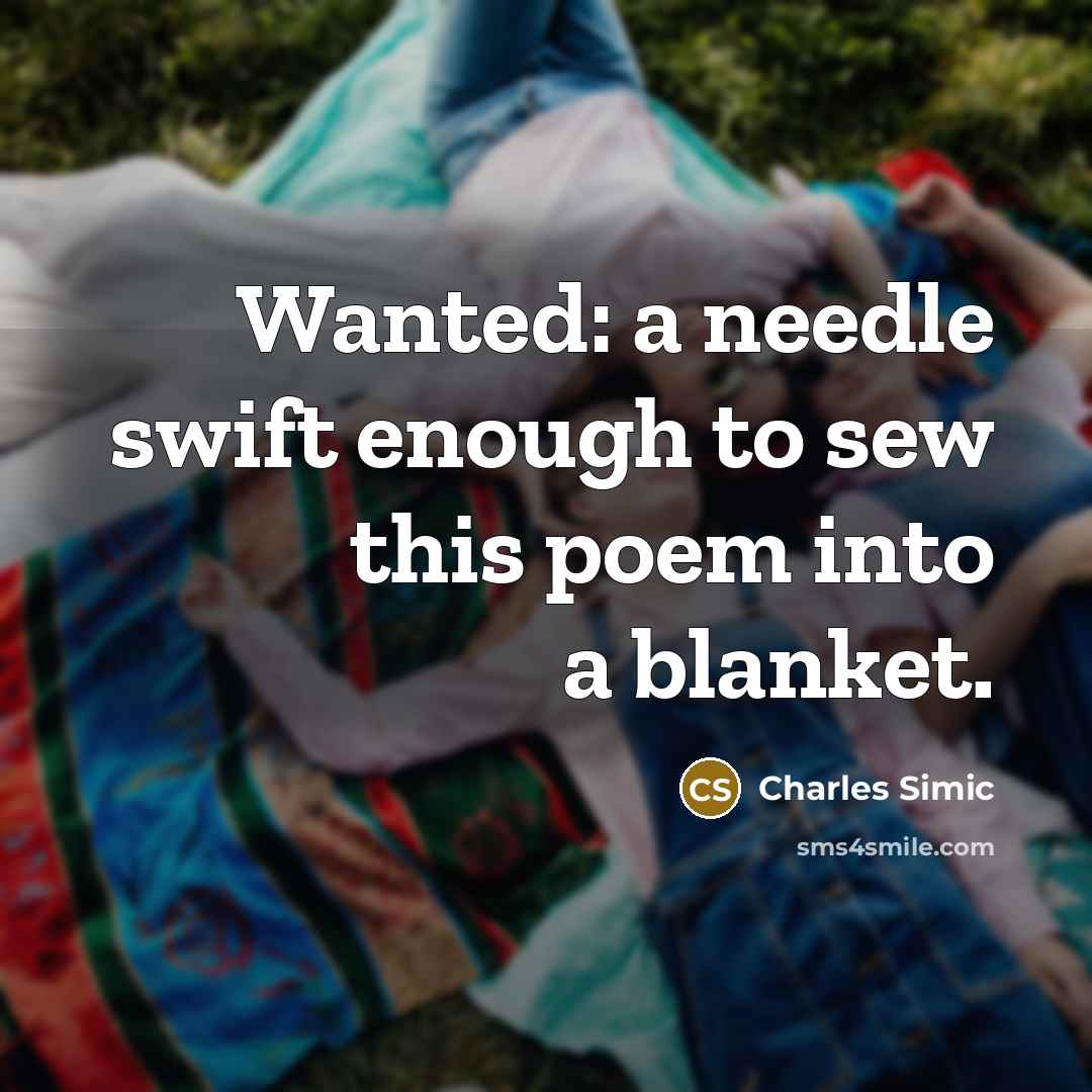 “Wanted: a needle swift enough to sew this poem into…” quote by Charles Simic