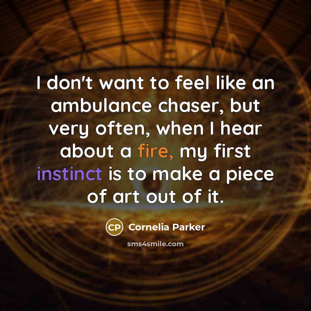 “I don't want to feel like an ambulance chaser, but…” quote by Cornelia Parker