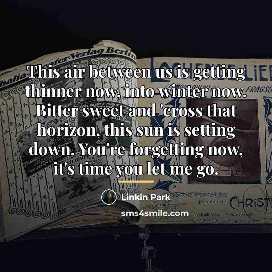“This air between us is getting thinner now, into winter…” quote by Linkin Park