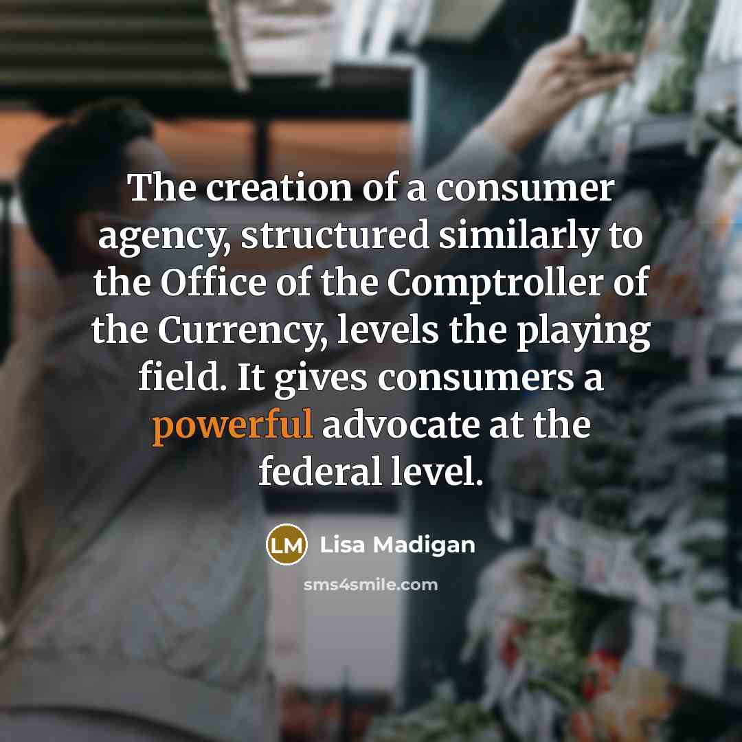“The creation of a consumer agency, structured similarly to the…” quote by Lisa Madigan