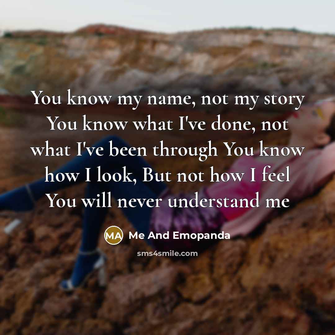 “You know my name, not my story You know what I've done, not what I've been through You know how I look, But not how I feel You will never understand me” quote by Me And Emopanda