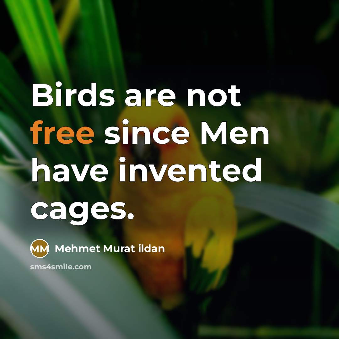 “Birds are not free since Men have invented cages.…” quote by Mehmet Murat Ildan