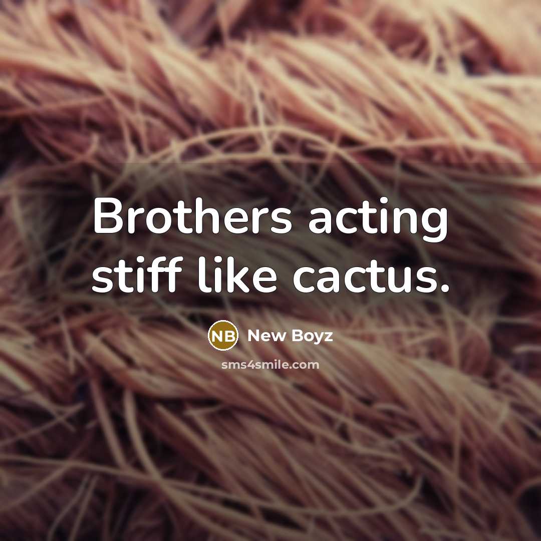 “Brothers acting stiff like cactus.” quote by New Boyz