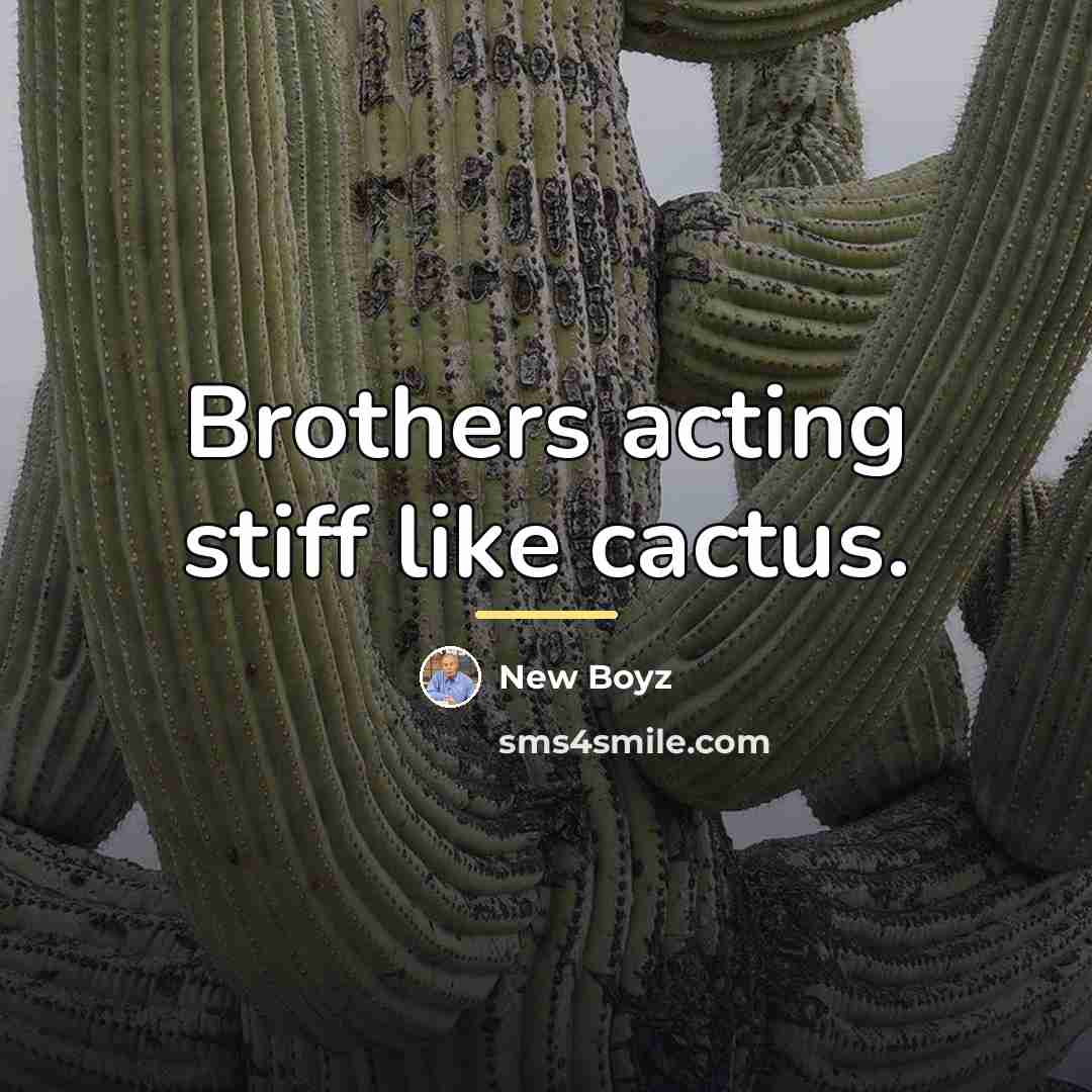 “Brothers acting stiff like cactus.…” quote by New Boyz