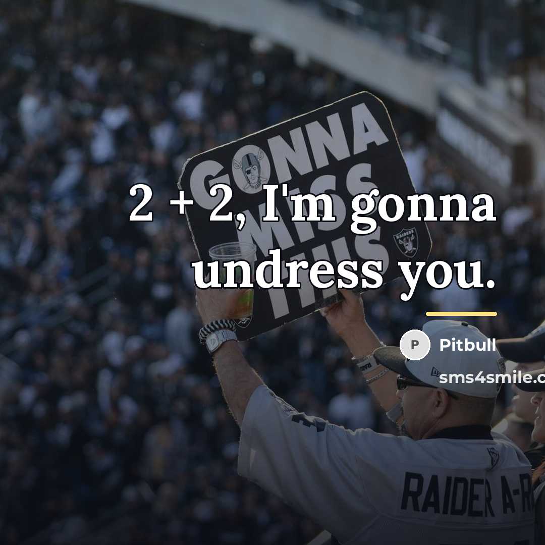 “2 + 2, I'm gonna undress you.…” quote by Pitbull