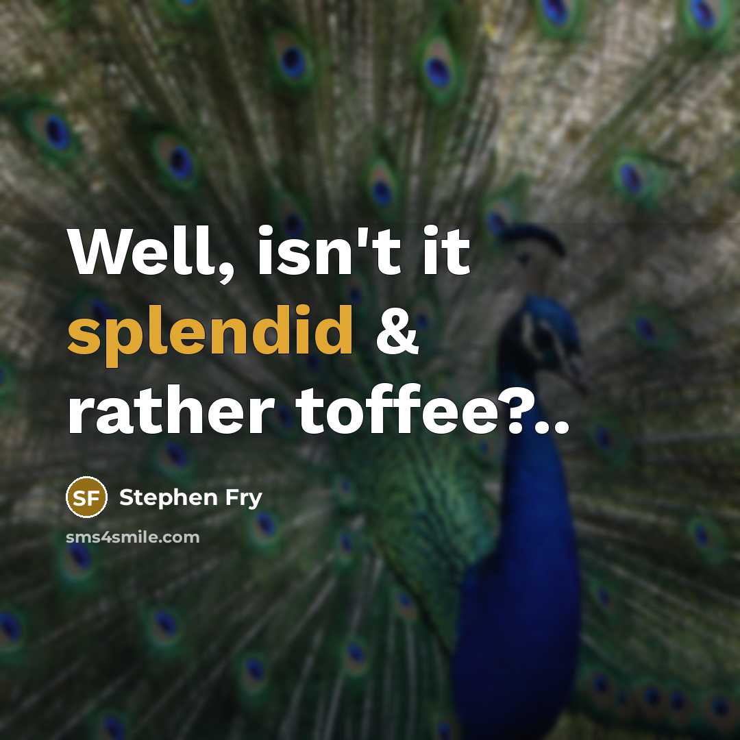 “Well, isn't it splendid & rather toffee?..…” quote by Stephen Fry