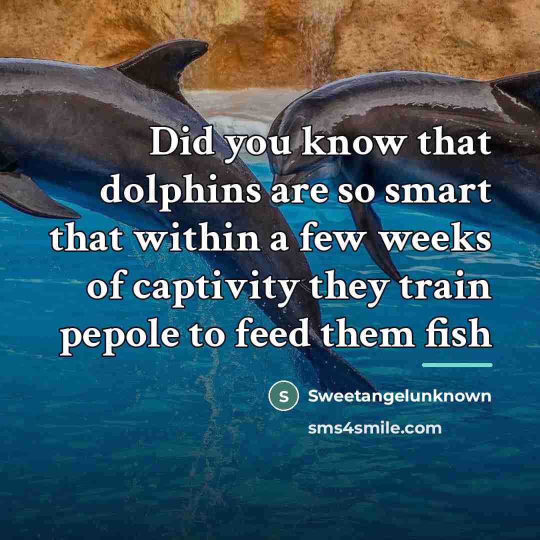 “Did you know that dolphins are so smart that within…” quote by Sweetangelunknown
